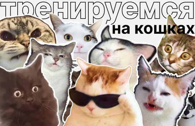 Тренируемся на кошках